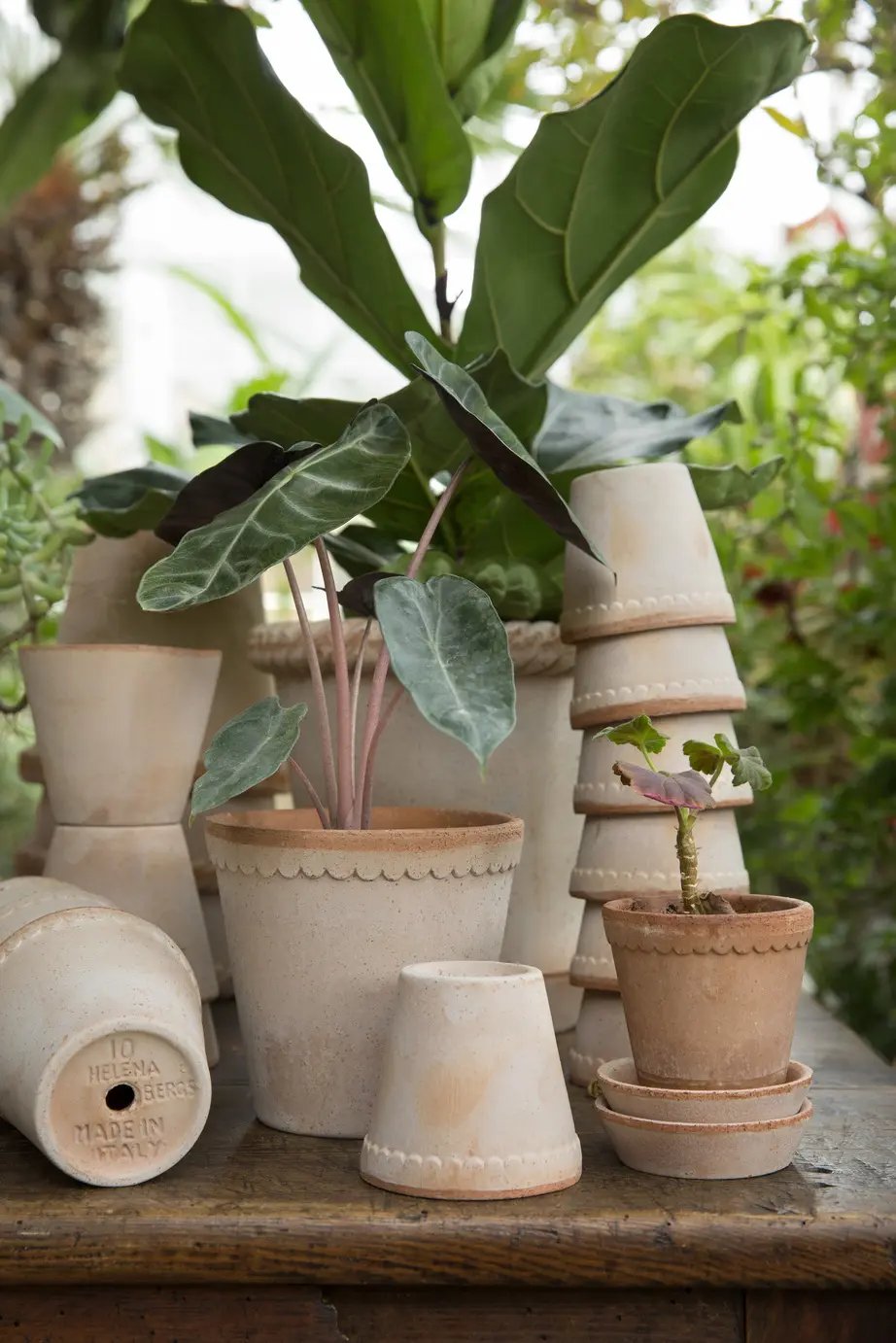 Plant Pots + Accessories  | House of Kojo
