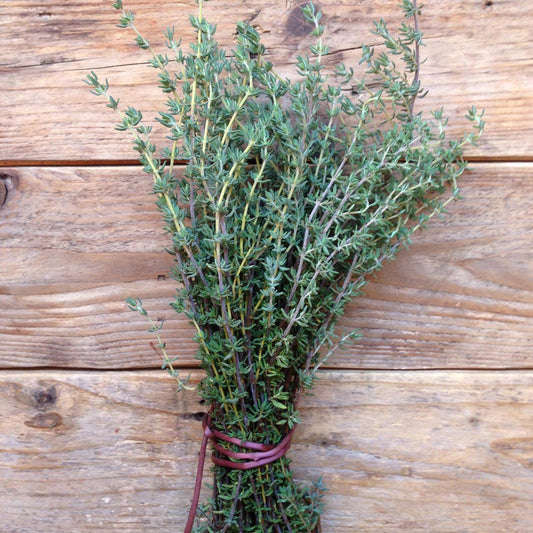 Thyme 'de Provence' Seeds - House of Kojo