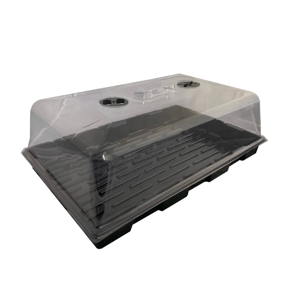 Large Propagator 58 x 39 x 23cm - House of Kojo