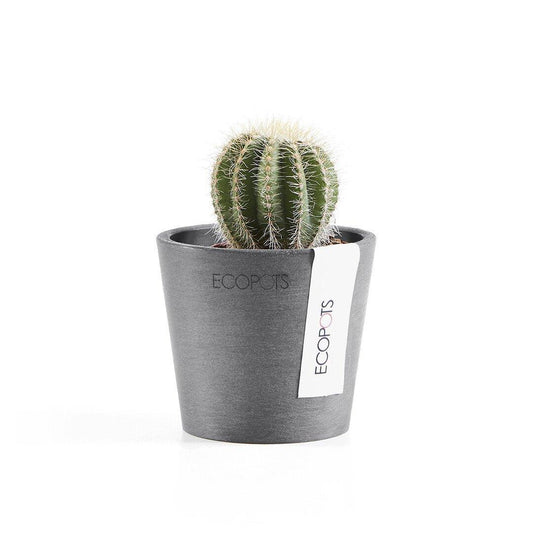 Ecopots Amsterdam Grey - House of Kojo