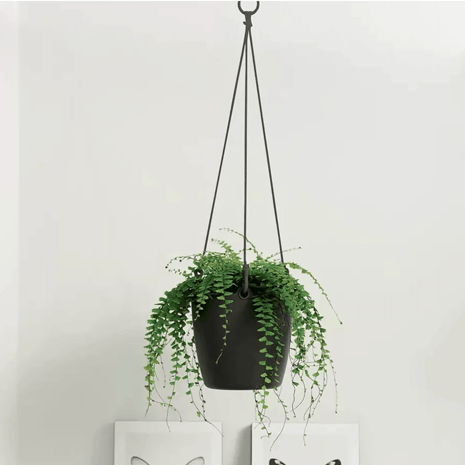 elho hanging planter Elho Brussels Hanging Basket