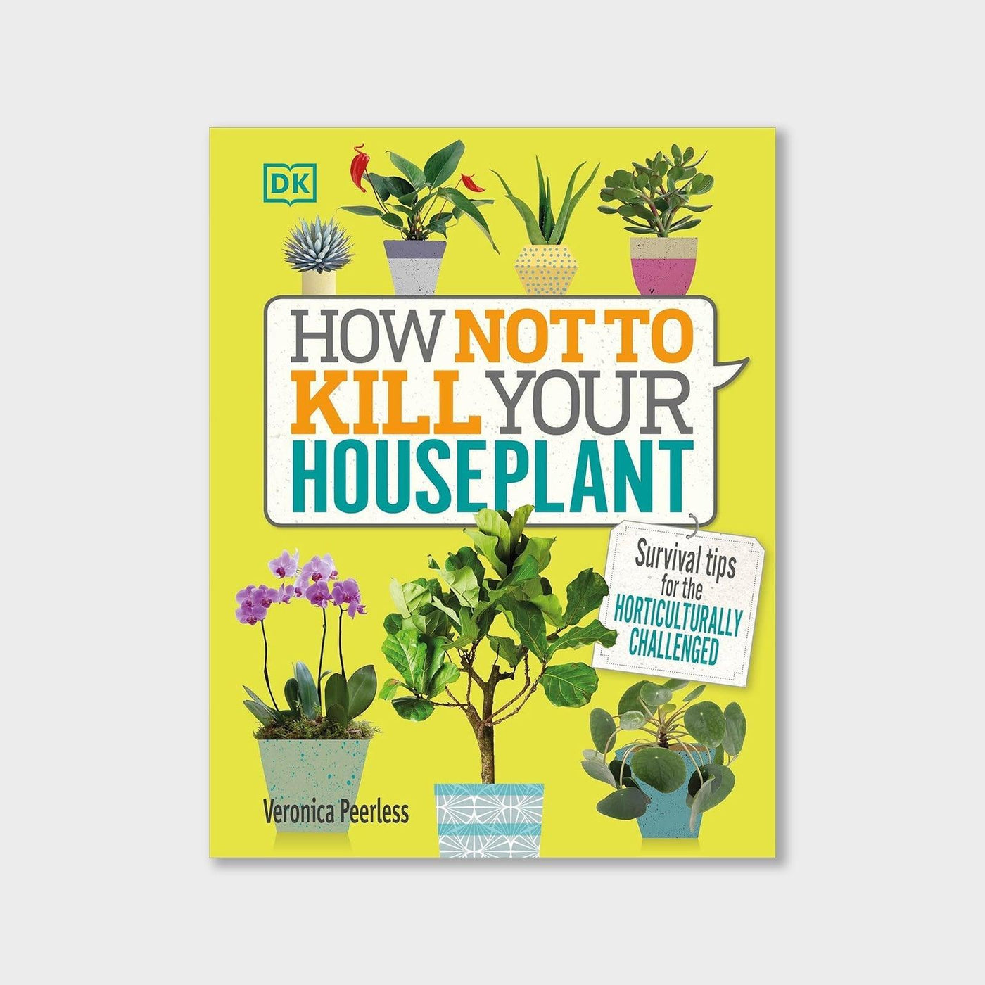 How Not to Kill Your Houseplant: Survival Tips for the Horticulturally Challenged - House of Kojo