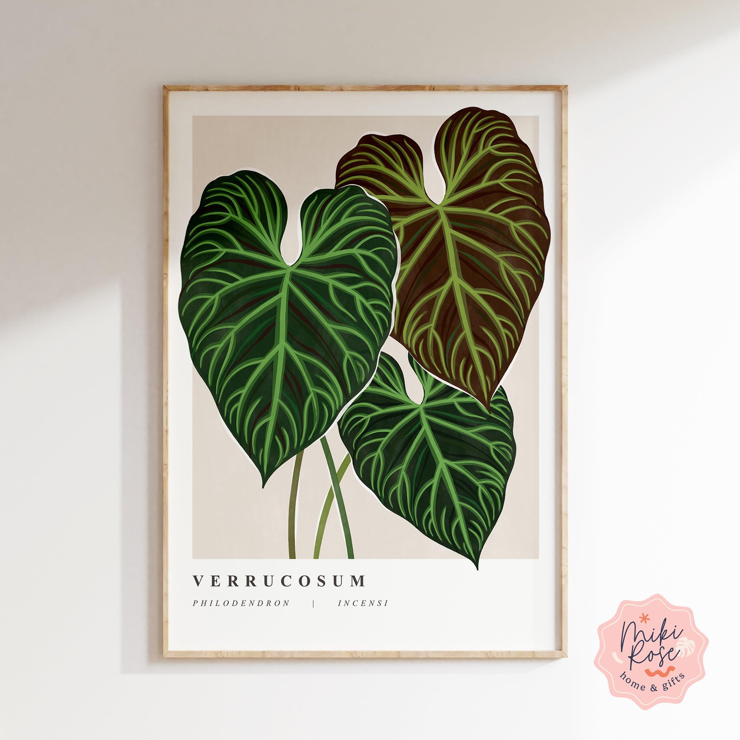 philodendron art Philodendron Verrucosum Art Print