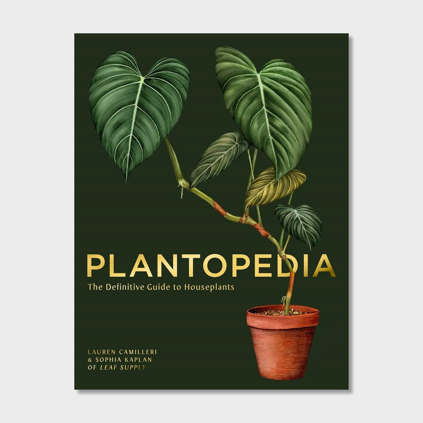 Plantopedia: The Definitive Guide to House Plants - House of Kojo