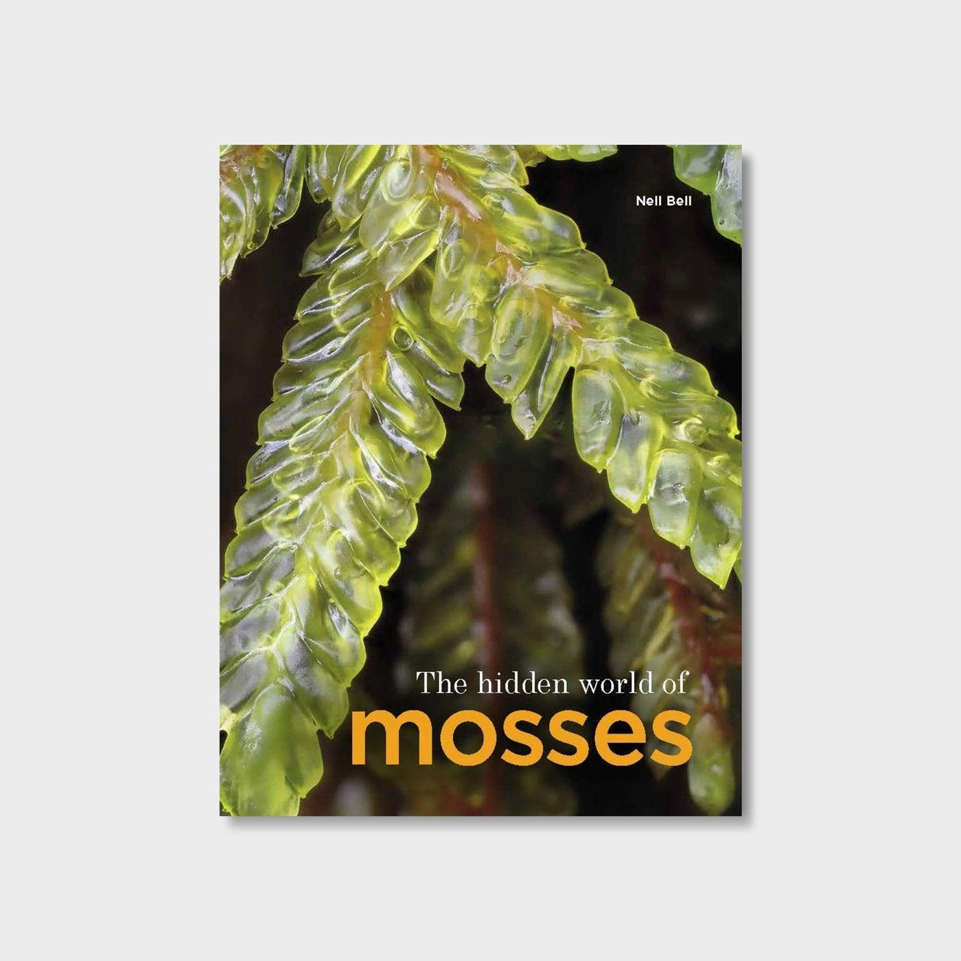 The Hidden World of Mosses - House of Kojo