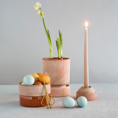 Our Favourite Houseplants for Easter