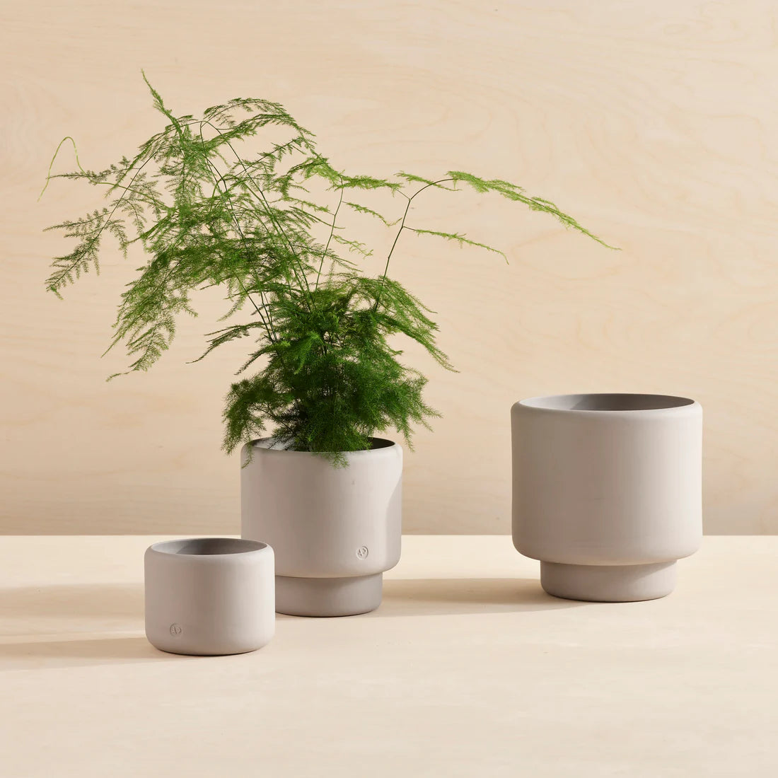 Aaron Probyn Botany Pot Medium - Concrete Grey - House of Kojo