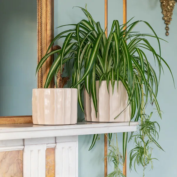 Kew Organic Ripple Bone Planter - House of Kojo
