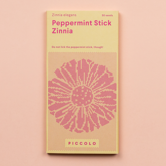 Zinnia 'Peppermint Stick' Seeds - House of Kojo