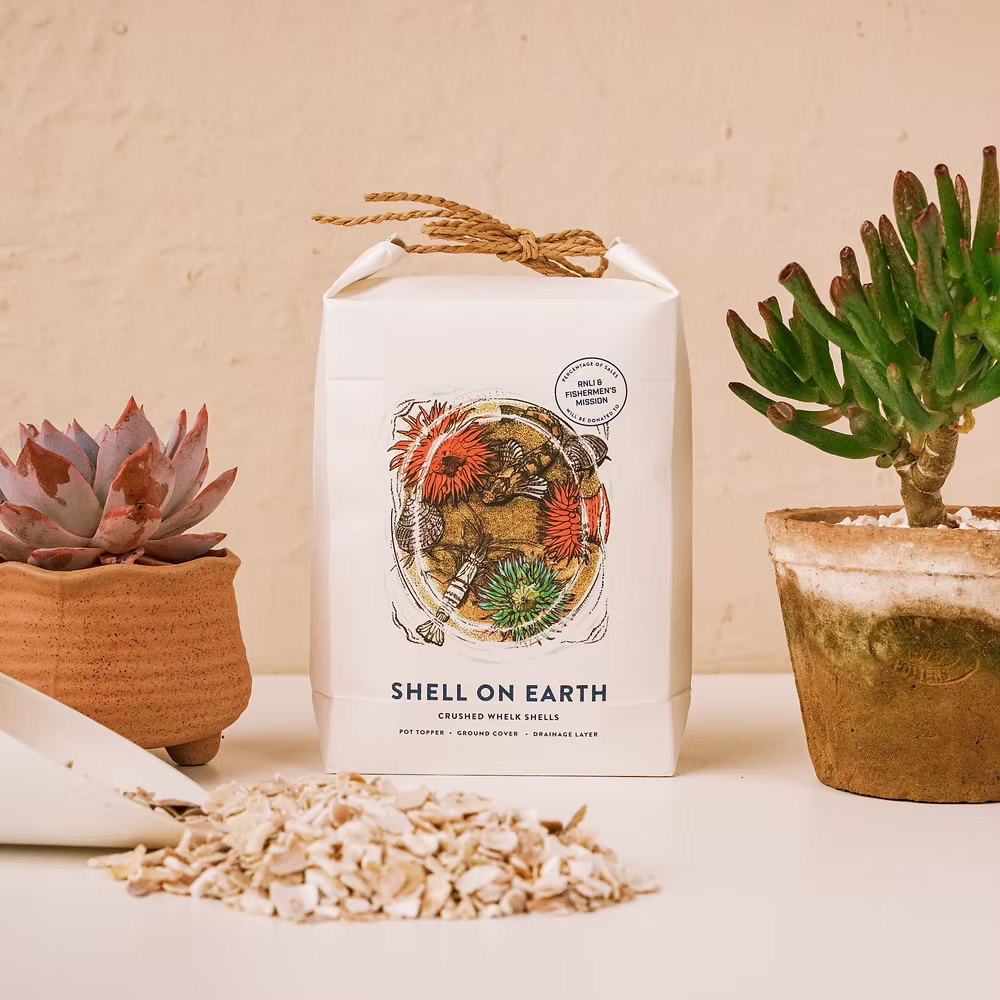 Shell on Earth Crushed Whelk Shells - House of Kojo