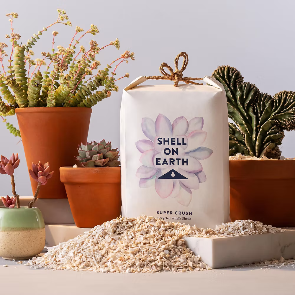 Shell on Earth Crushed Whelk Shells - House of Kojo