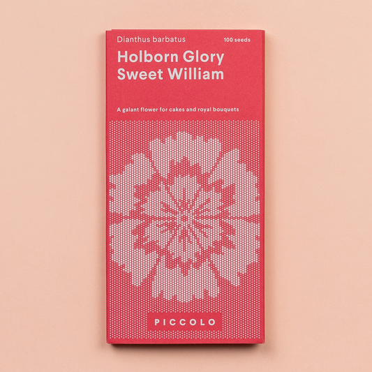 Sweet William 'Holborn Glory' Seeds - House of Kojo