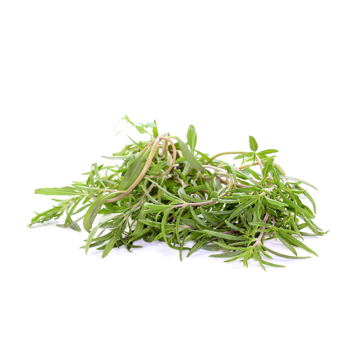 Summer Savory Seeds - House of Kojo