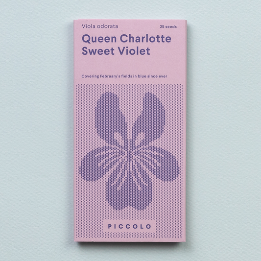 Sweet Violet 'Queen Charlotte' Seeds - House of Kojo
