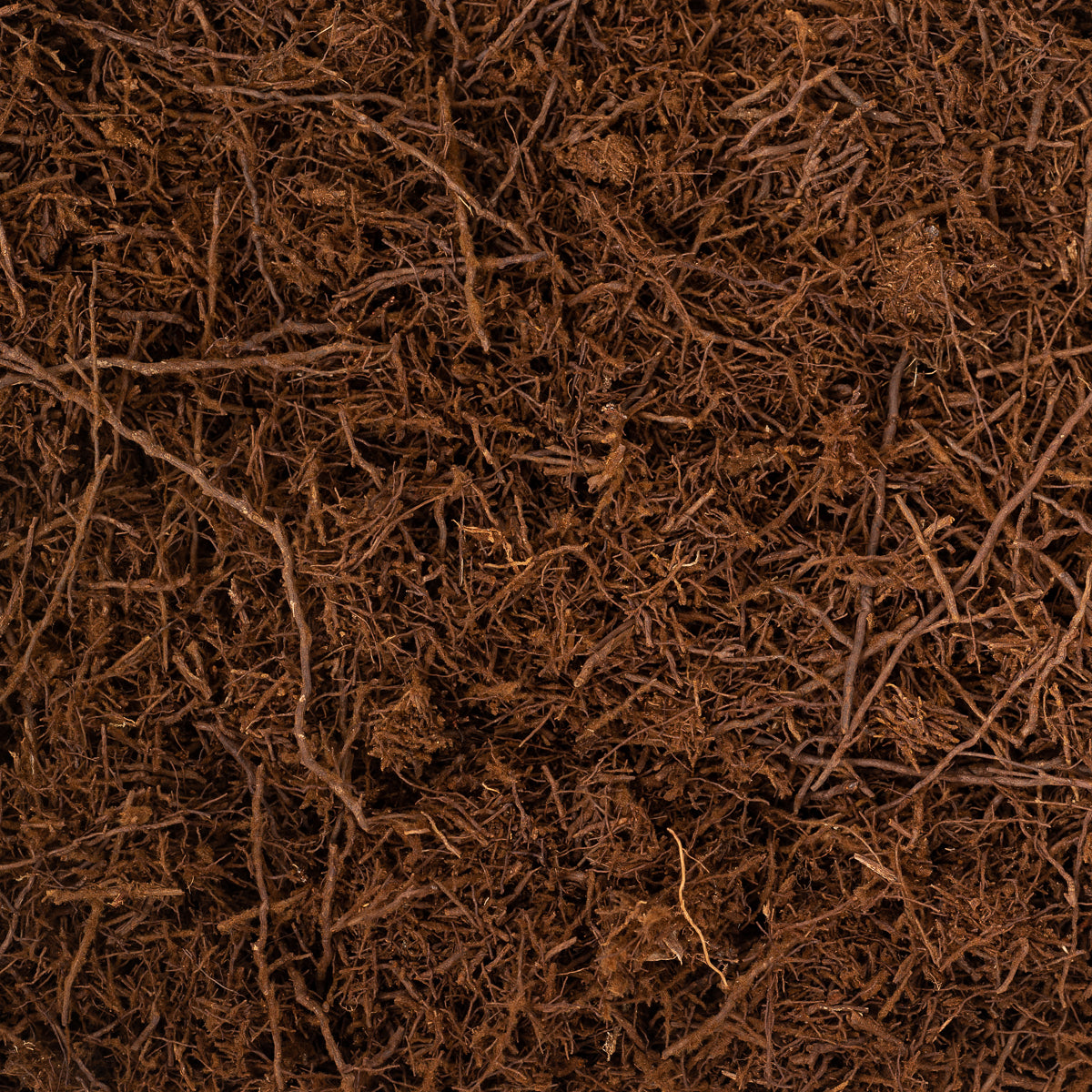 GrowTropicals Tree Fern Fibre (Sustainably Sourced) - House of Kojo