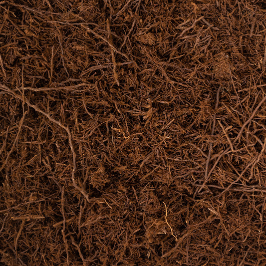 GrowTropicals Tree Fern Fibre (Sustainably Sourced) - House of Kojo