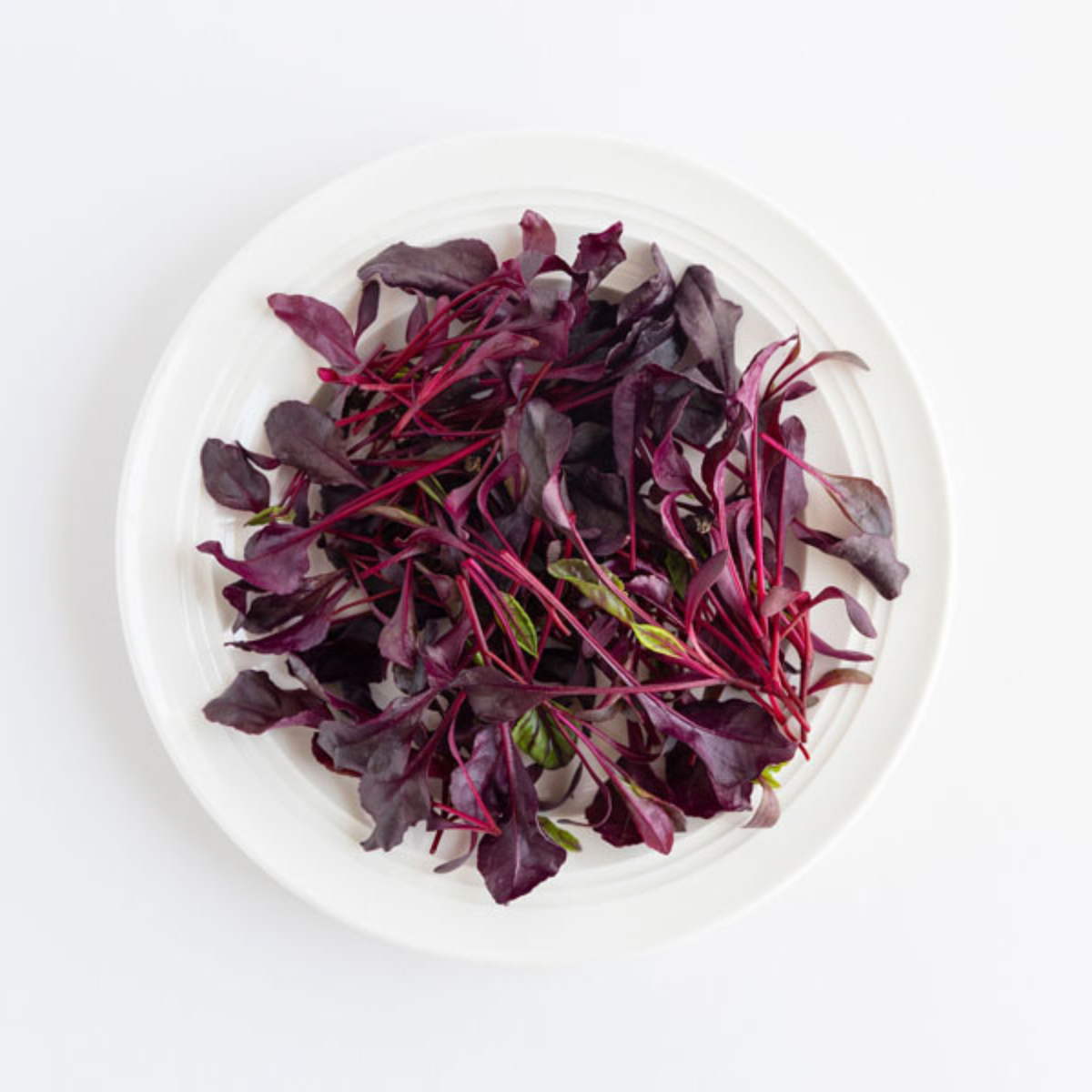Beetroot 'Bull's Blood' Seeds - House of Kojo