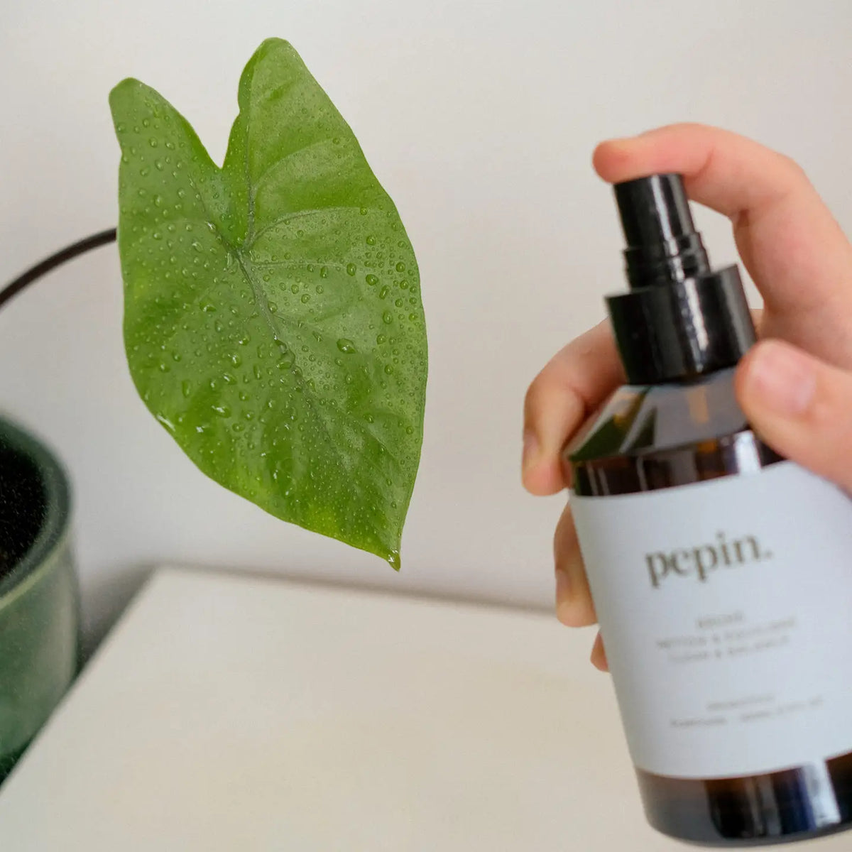 Pepin Cleaning Mist - Brume 200ml - House of Kojo