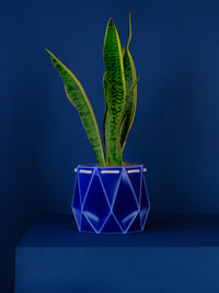 POTR Navy Self-Watering Pot