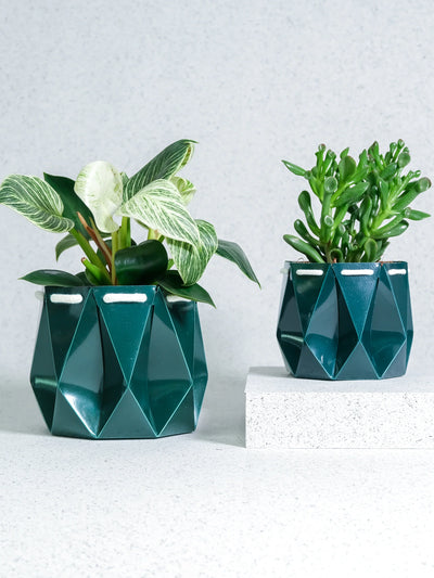POTR Ocean Pot Deep Green - House of Kojo