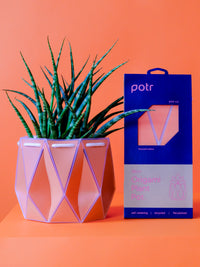 POTR Coral Self-Watering Pot