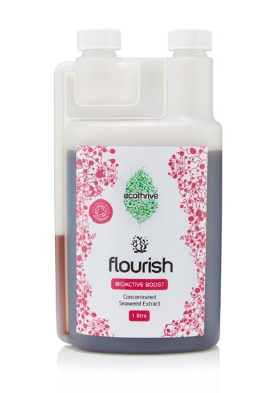 Ecothrive Flourish - Cold Pressed Seaweed Extract - House of Kojo