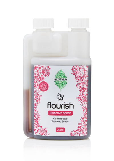 Ecothrive Flourish - Cold Pressed Seaweed Extract - House of Kojo