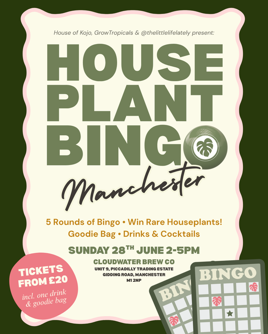Houseplant Bingo Manchester - House of Kojo