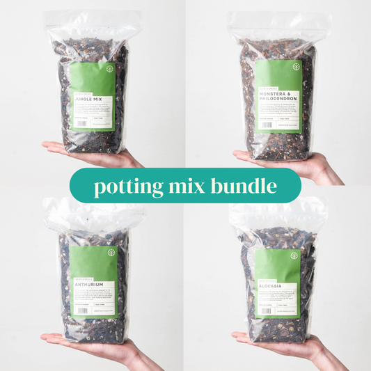 Aroid Potting Mix Bundle - House of Kojo