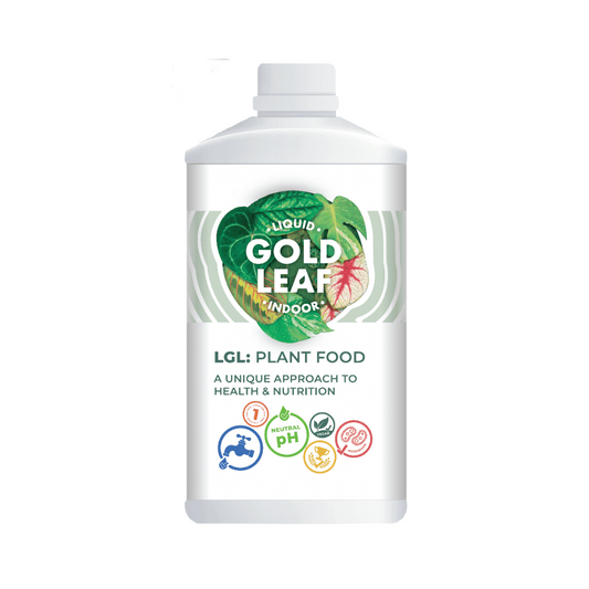 Liquid Gold Leaf Plant Fertiliser - House of Kojo