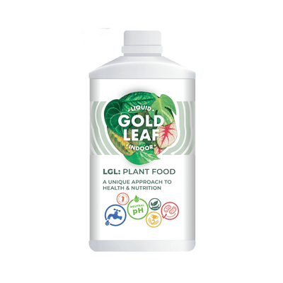 Liquid Gold Leaf Plant Fertiliser - House of Kojo