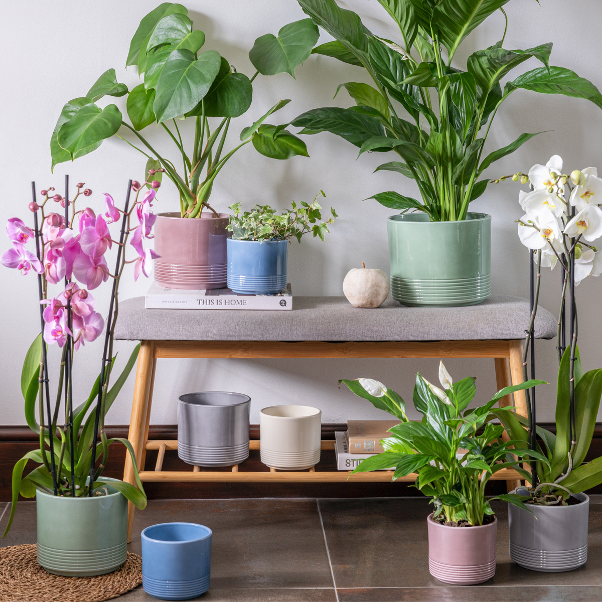 Munich Green Gloss Pot - House of Kojo