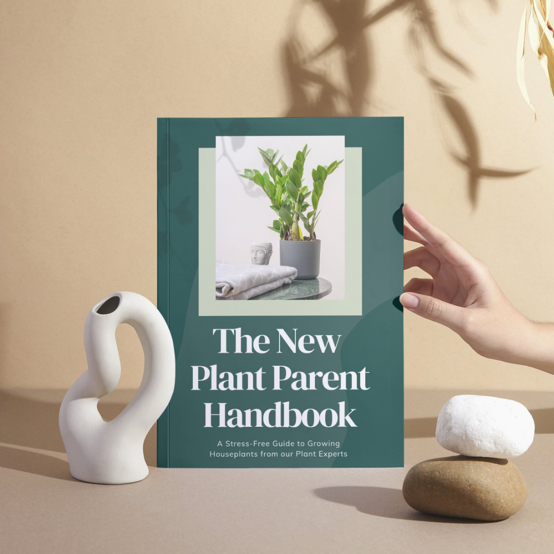 eBook: The New Plant Parent Handbook - House of Kojo
