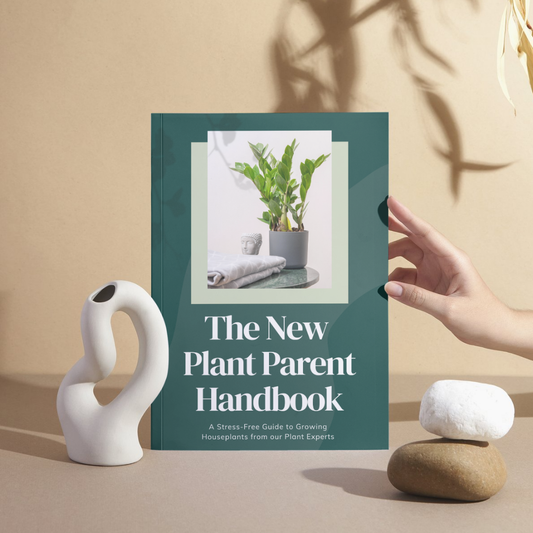 eBook: The New Plant Parent Handbook - House of Kojo