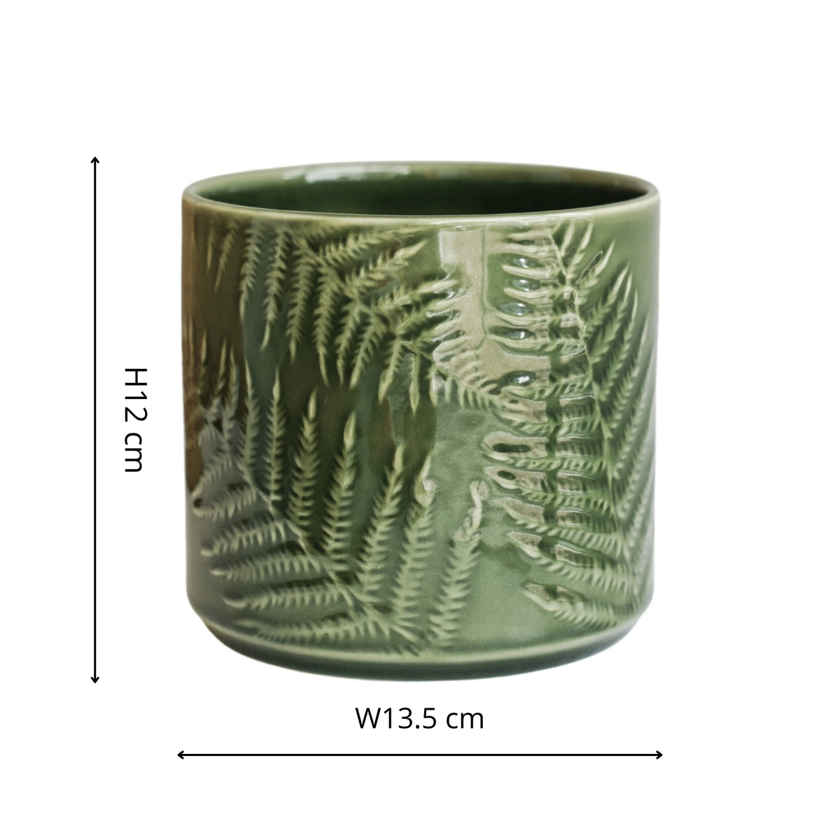 Orla Fern Pot Green - House of Kojo