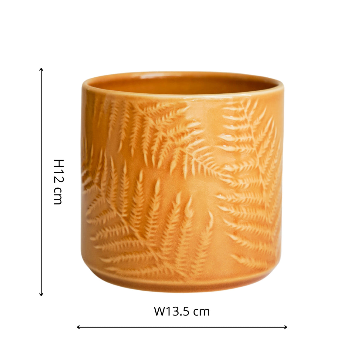 Orla Fern Pot Mustard - House of Kojo