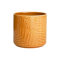 Orla Fern Pot Mustard