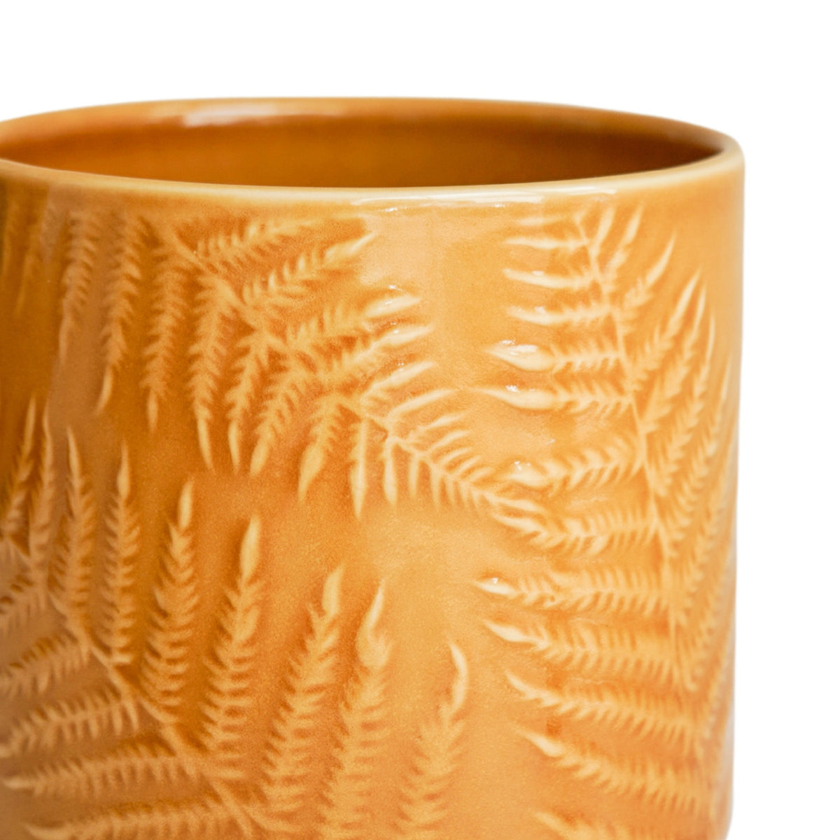 Orla Fern Pot Mustard - House of Kojo