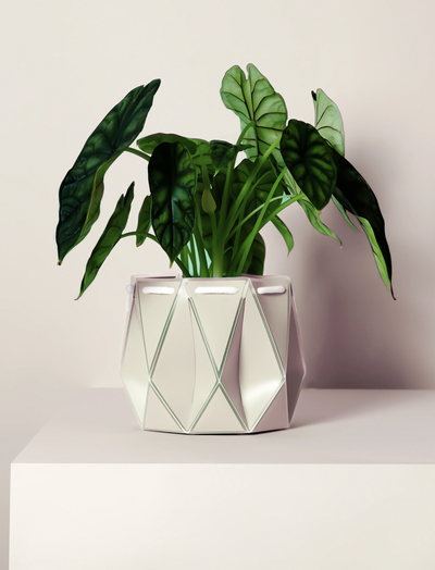 POTR Ivory White Self-Watering Pot 11cm / Natural White