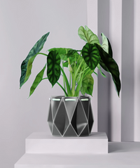 POTR Slate Grey Self-Watering Pot