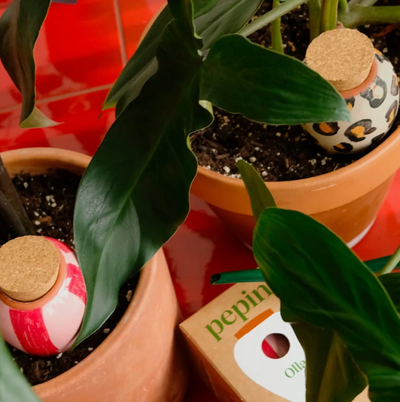 Pepin Self Watering Olla Speckled White - House of Kojo