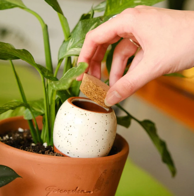 Pepin Self Watering Olla Speckled White - House of Kojo