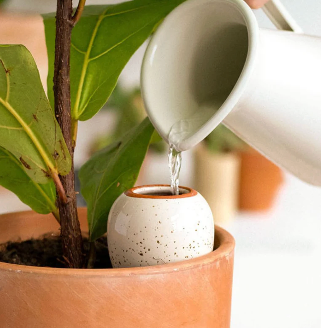 Pepin Self Watering Olla Speckled White - House of Kojo