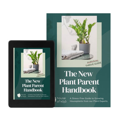 eBook: The New Plant Parent Handbook - House of Kojo