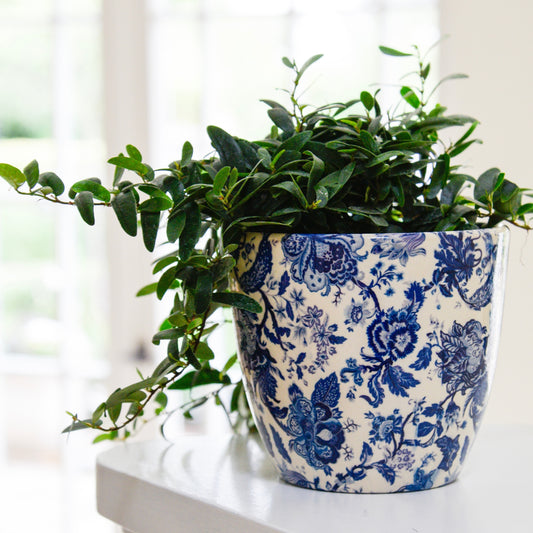 Monza Vintage Blue Pot - House of Kojo