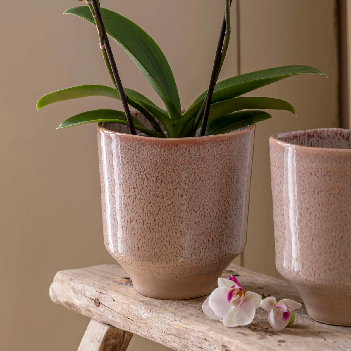 Reactive Glaze Earthenware Planter - Rose Pink - House of Kojo
