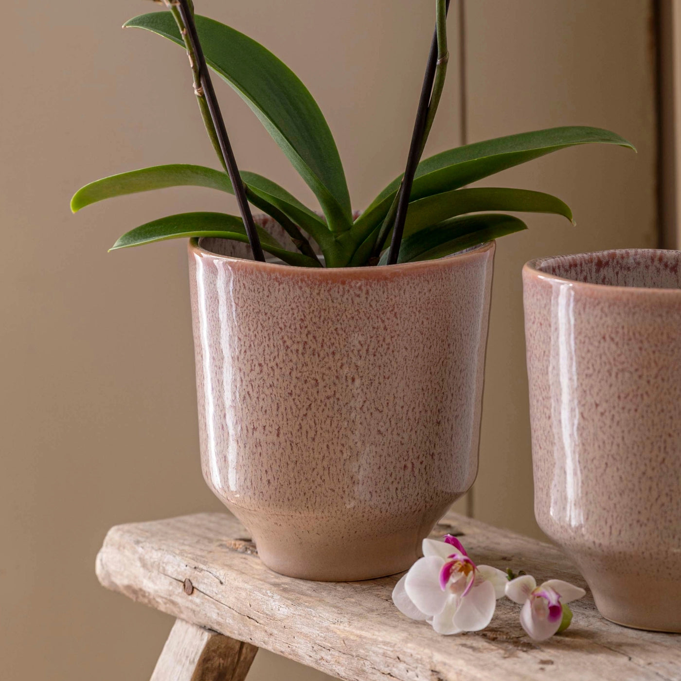 Reactive Glaze Earthenware Planter - Rose Pink - House of Kojo