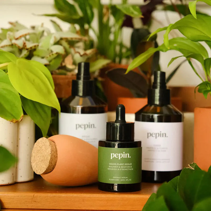 Pepin Plant Care Routine Giftset - House of Kojo
