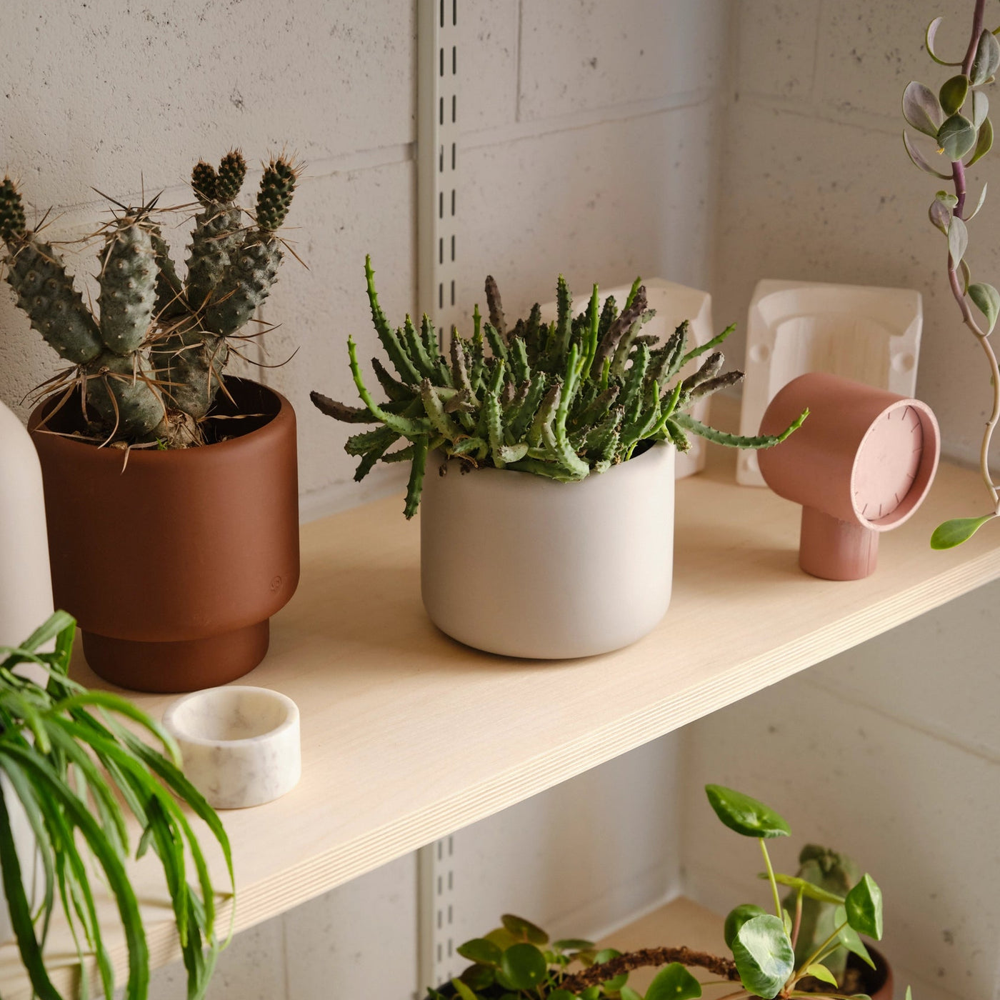 Aaron Probyn Botany Pot Small - Concrete Grey - House of Kojo