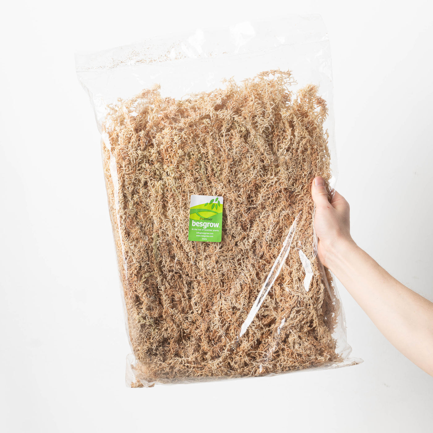 Besgrow Sphagnum Moss 100g | Premier Strand Moss - House of Kojo